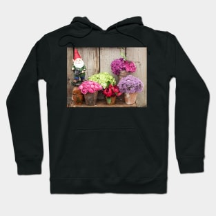 Still Life with Flowers & a Gnome Hoodie